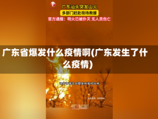 广东省爆发什么疫情啊(广东发生了什么疫情)