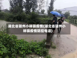 湖北省随州小林镇疫情(湖北省随州小林镇疫情防控电话)