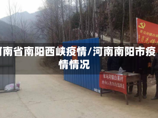 河南省南阳西峡疫情/河南南阳市疫情情况