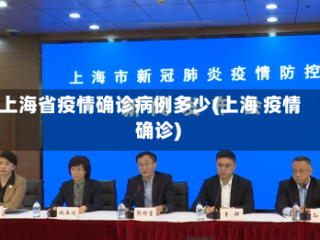 上海省疫情确诊病例多少(上海 疫情 确诊)