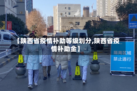 【陕西省疫情补助等级划分,陕西省疫情补助金】