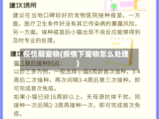 疫情期宠物(疫情下宠物怎么处理)