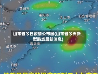 山东省今日疫情公布图(山东省今天新型肺炎最新消息)