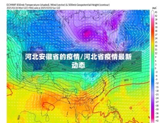 河北安徽省的疫情/河北省疫情最新动态