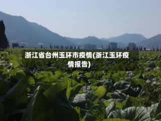 浙江省台州玉环市疫情(浙江玉环疫情报告)