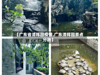 【广东省清晖园疫情,广东清晖园景点分析】