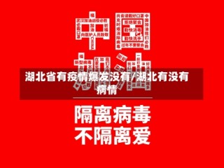 湖北省有疫情爆发没有/湖北有没有病情