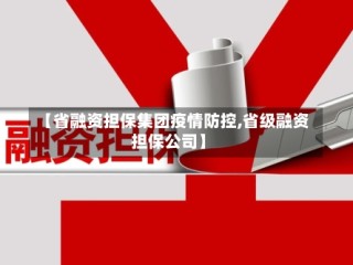 【省融资担保集团疫情防控,省级融资担保公司】