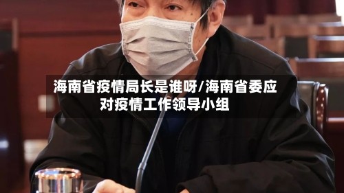 海南省疫情局长是谁呀/海南省委应对疫情工作领导小组