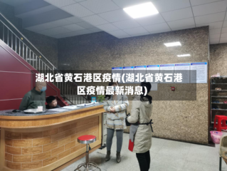 湖北省黄石港区疫情(湖北省黄石港区疫情最新消息)
