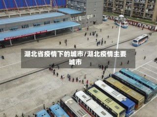 湖北省疫情下的城市/湖北疫情主要城市
