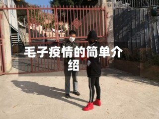 毛子疫情的简单介绍