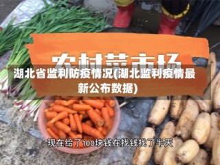 湖北省监利防疫情况(湖北监利疫情最新公布数据)