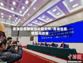 青海省疫情期间补助文件/青海省疫情期间政策