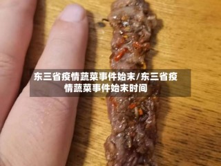 东三省疫情蔬菜事件始末/东三省疫情蔬菜事件始末时间