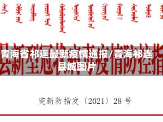 青海省祁连最新疫情通报/青海祁连县城图片
