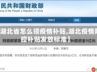 【湖北省怎么领疫情补贴,湖北疫情防控补贴发放标准】