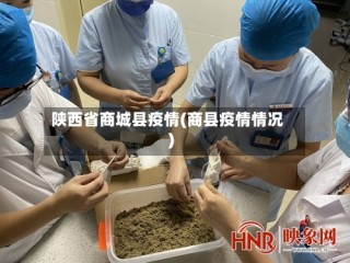 陕西省商城县疫情(商县疫情情况)