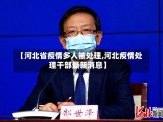 【河北省疫情多人被处理,河北疫情处理干部最新消息】