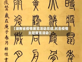 【湖南省疫情展览活动总结,抗击疫情主题展览活动】