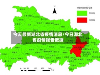 今天最新湖北省疫情消息/今日湖北省疫情报告数据