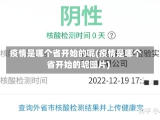 疫情是哪个省开始的呢(疫情是哪个省开始的呢图片)