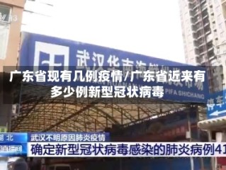 广东省现有几例疫情/广东省近来有多少例新型冠状病毒