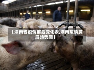 【湖南省疫情前后变化表,湖南疫情发展趋势图】