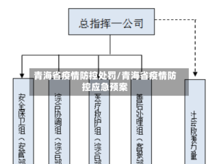 青海省疫情防控处罚/青海省疫情防控应急预案