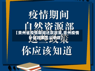 【贵州省疫情期间还款政策,贵州疫情补贴政策怎么申请】