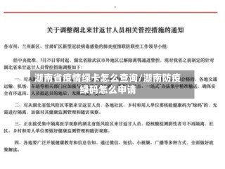 湖南省疫情绿卡怎么查询/湖南防疫绿码怎么申请