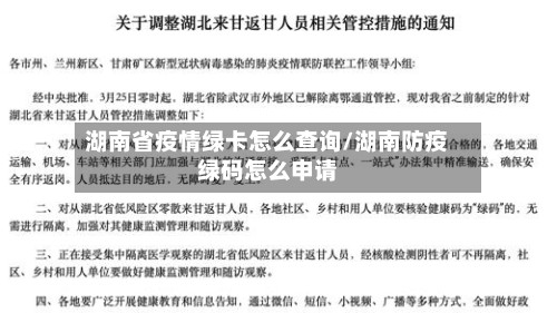 湖南省疫情绿卡怎么查询/湖南防疫绿码怎么申请