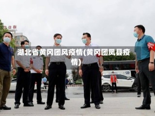 湖北省黄冈团风疫情(黄冈团凤县疫情)