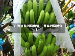 【广西省龙洲县疫情,广西龙洲县简介】