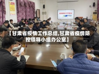 【甘肃省疫情工作总结,甘肃省疫情防控领导小组办公室】