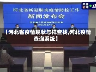 【河北省疫情现状怎样查找,河北疫情查询系统】