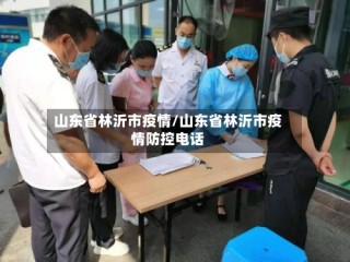 山东省林沂市疫情/山东省林沂市疫情防控电话