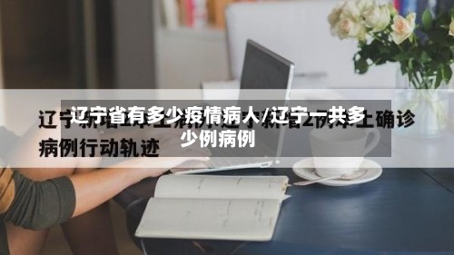 辽宁省有多少疫情病人/辽宁一共多少例病例