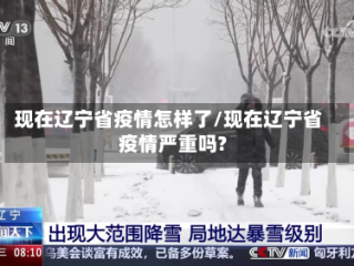 现在辽宁省疫情怎样了/现在辽宁省疫情严重吗?