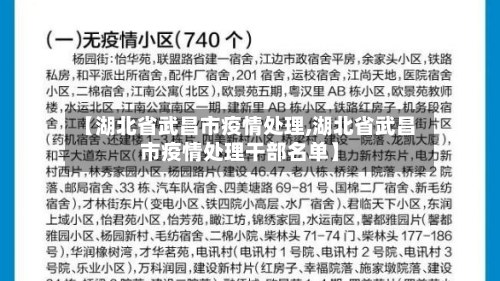 【湖北省武昌市疫情处理,湖北省武昌市疫情处理干部名单】
