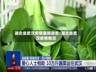 湖北省武汉疫情最新动态/湖北省武汉疫情情况