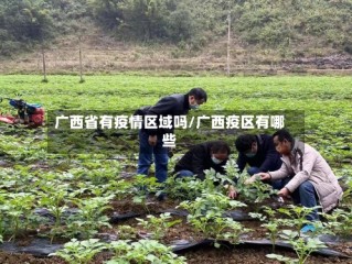 广西省有疫情区域吗/广西疫区有哪些