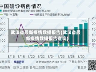 武汉省最新疫情数据报告(武汉省最新疫情数据报告查询)