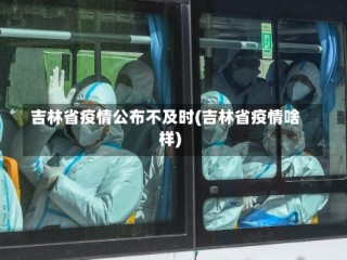 吉林省疫情公布不及时(吉林省疫情啥样)
