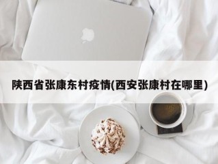 陕西省张康东村疫情(西安张康村在哪里)
