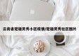 云南省楚雄灵秀小区疫情/楚雄灵秀社区图片