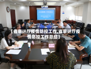 【省审计厅疫情防控工作,省审计厅疫情防控工作总结】
