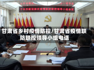 甘肃省乡村疫情防控/甘肃省疫情联防联控领导小组电话