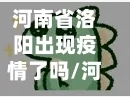 河南省洛阳出现疫情了吗/河南洛阳有新增病例吗