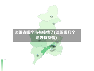 沈阳省哪个市有疫情了(沈阳哪几个地方有疫情)